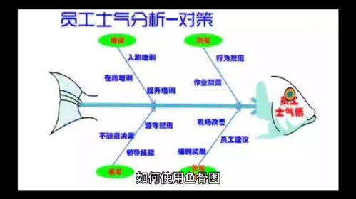 企業(yè)管理咨詢(xún)公司手把手教你 如何高效運(yùn)用魚(yú)骨圖進(jìn)行問(wèn)題分析與解決